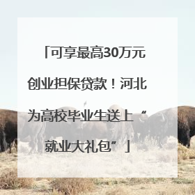可享最高30万元创业担保贷款！河北为高校毕业生送上“就业大礼包”