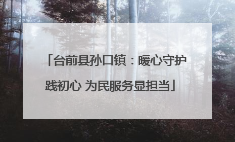 台前县孙口镇：暖心守护践初心 为民服务显担当