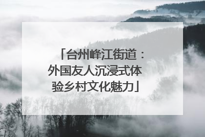 台州峰江街道：外国友人沉浸式体验乡村文化魅力