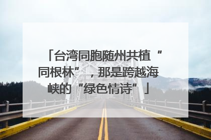 台湾同胞随州共植“同根林”，那是跨越海峡的“绿色情诗”