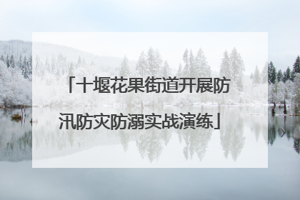 十堰花果街道开展防汛防灾防溺实战演练
