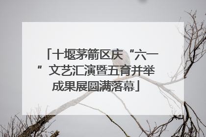 十堰茅箭区庆“六一”文艺汇演暨五育并举成果展圆满落幕