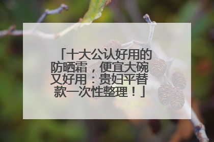 十大公认好用的防晒霜，便宜大碗又好用：贵妇平替款一次性整理！