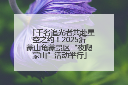 千名追光者共赴星空之约！2025沂蒙山龟蒙景区“夜爬蒙山”活动举行