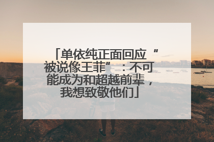 单依纯正面回应“被说像王菲”：不可能成为和超越前辈，我想致敬他们