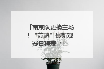 南京队更换主场！“苏超”最新观赛日程表→