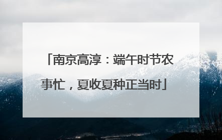 南京高淳：端午时节农事忙，夏收夏种正当时