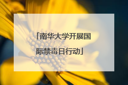 南华大学开展国际禁毒日行动