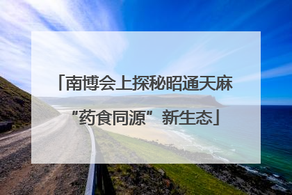 南博会上探秘昭通天麻“药食同源”新生态