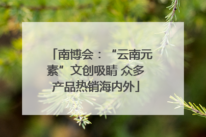 南博会：“云南元素”文创吸睛 众多产品热销海内外