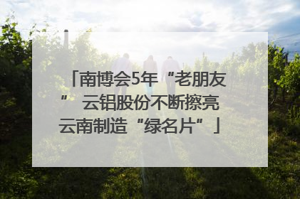 南博会5年“老朋友” 云铝股份不断擦亮云南制造“绿名片”