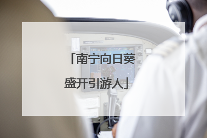南宁向日葵盛开引游人
