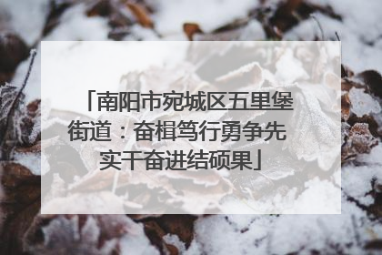 南阳市宛城区五里堡街道：奋楫笃行勇争先 实干奋进结硕果