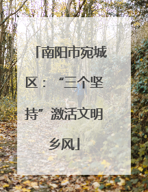 南阳市宛城区：“三个坚持”激活文明乡风