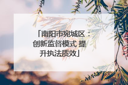 南阳市宛城区：创新监督模式 提升执法质效