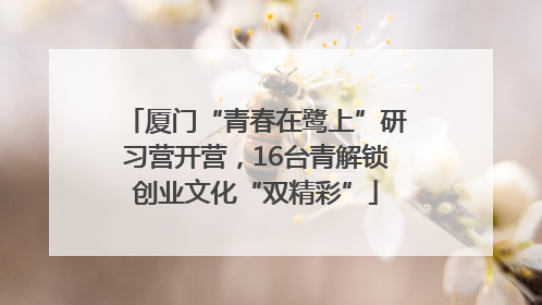 厦门“青春在鹭上”研习营开营，16台青解锁创业文化“双精彩”