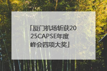 厦门机场斩获2025CAPSE年度峰会四项大奖