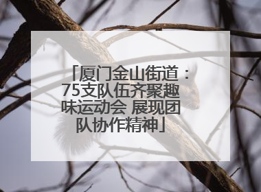 厦门金山街道：75支队伍齐聚趣味运动会 展现团队协作精神