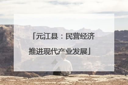 元江县：民营经济推进现代产业发展