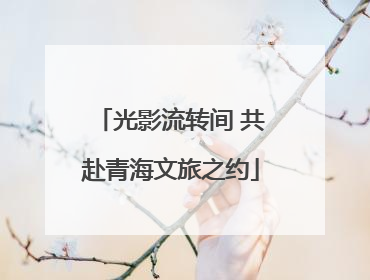 光影流转间 共赴青海文旅之约