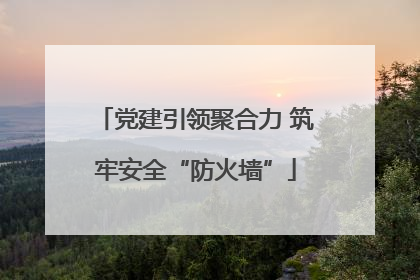 党建引领聚合力 筑牢安全“防火墙”