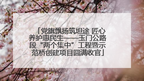 党旗飘扬筑坦途 匠心养护惠民生——玉门公路段“两个集中”工程暨示范桥创建项目圆满收官
