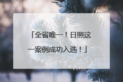 全省唯一！日照这一案例成功入选！
