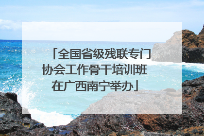 全国省级残联专门协会工作骨干培训班在广西南宁举办