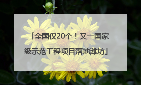 全国仅20个！又一国家级示范工程项目落地潍坊