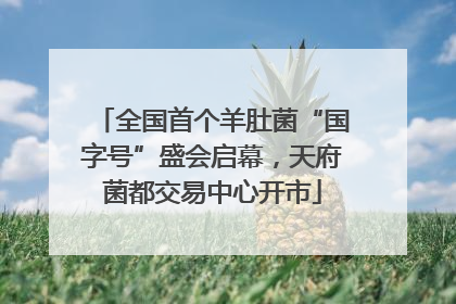 全国首个羊肚菌“国字号”盛会启幕，天府菌都交易中心开市