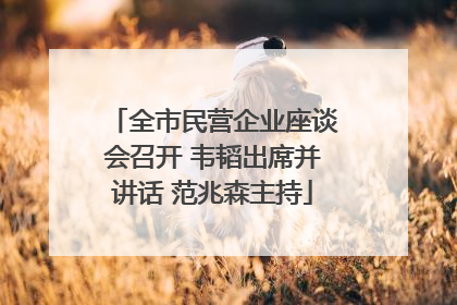 全市民营企业座谈会召开 韦韬出席并讲话 范兆森主持