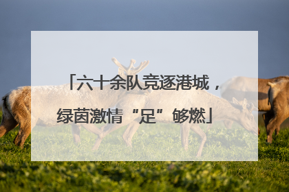 六十余队竞逐港城，绿茵激情“足”够燃