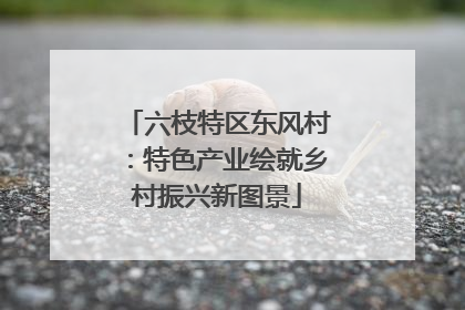 六枝特区东风村：特色产业绘就乡村振兴新图景