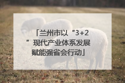 兰州市以“3+2”现代产业体系发展赋能强省会行动