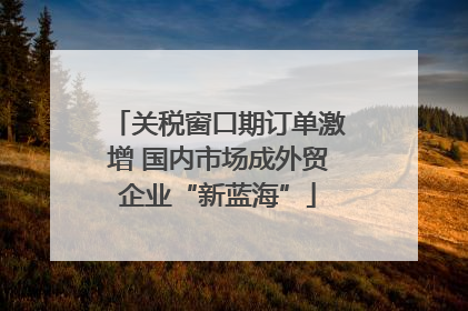 关税窗口期订单激增 国内市场成外贸企业“新蓝海”