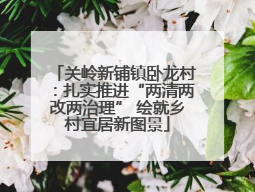 关岭新铺镇卧龙村：扎实推进“两清两改两治理” 绘就乡村宜居新图景