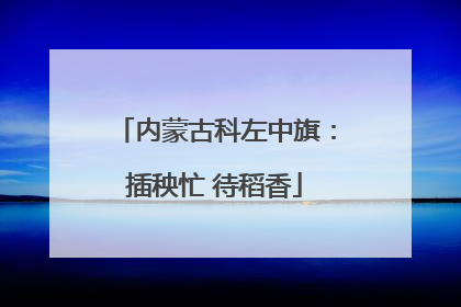 内蒙古科左中旗：插秧忙 待稻香