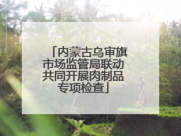 内蒙古乌审旗市场监管局联动共同开展肉制品专项检查