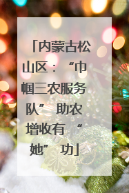 内蒙古松山区：“巾帼三农服务队” 助农增收有 “她” 功