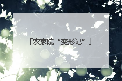 农家院“变形记”