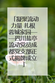 凝聚流动力量 扎根蓉城家园——四川盐亭流动党员成都党支部正式揭牌成立