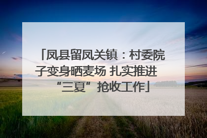 凤县留凤关镇：村委院子变身晒麦场 扎实推进“三夏”抢收工作