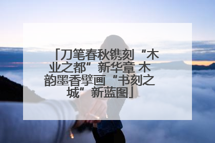 刀笔春秋镌刻“木业之都”新华章 木韵墨香擘画“书刻之城”新蓝图