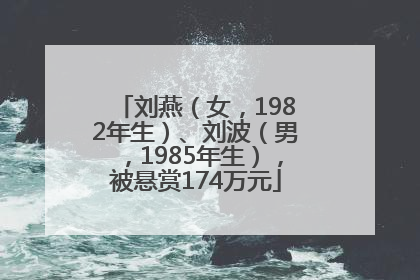 刘燕（女，1982年生）、刘波（男，1985年生），被悬赏174万元