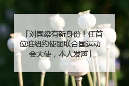 刘国梁有新身份！任首位驻纽约使团联合国运动会大使，本人发声
