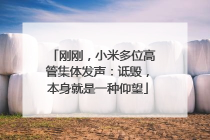 刚刚，小米多位高管集体发声：诋毁，本身就是一种仰望