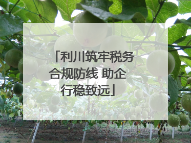 利川筑牢税务合规防线 助企行稳致远