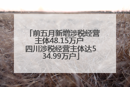 前五月新增涉税经营主体48.15万户 四川涉税经营主体达534.99万户