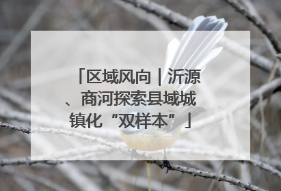 区域风向｜沂源、商河探索县域城镇化“双样本”