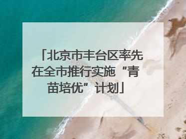 北京市丰台区率先在全市推行实施“青苗培优”计划